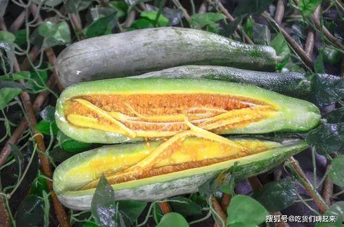 青岛吃瓜网红事件真相是真的吗,真相揭秘，还原事件始末