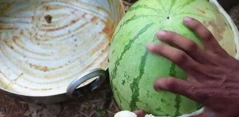 最近网红事件吃瓜,揭秘近期热门吃瓜事件背后的真相