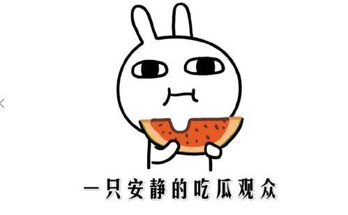 网红抖音吃瓜,幕后真相与趣味瞬间