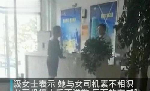 临沂吃瓜网红事件视频曝光,揭秘网络舆论风波背后的真相