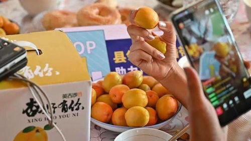 新疆网红吃瓜事件真相,真相与误解的交织