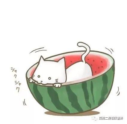 网课吃瓜搞笑图片卡通,卡通吃瓜图，笑出腹肌的欢乐时光