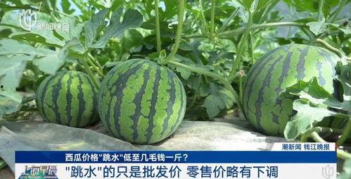 吃瓜网红大八卦图片高清,高清图片背后的惊人真相