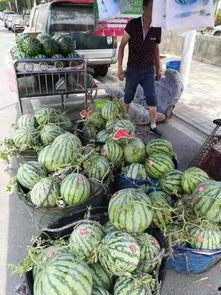 福山网红吃瓜事件