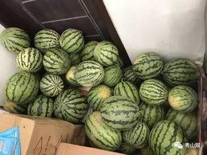 番瓜网吃瓜视频在线观看,热门吃瓜视频，带你一网打尽娱乐圈风云