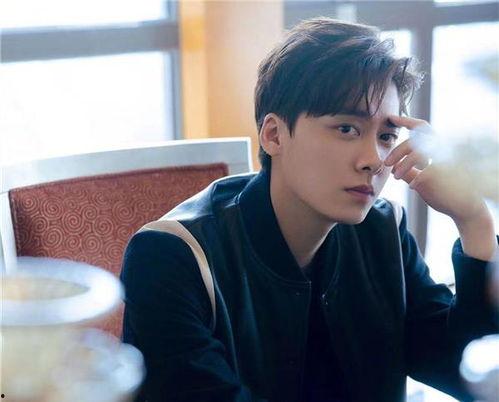 吃瓜网李易峰视频在哪看,李易峰最新视频曝光，观看地址大揭秘！